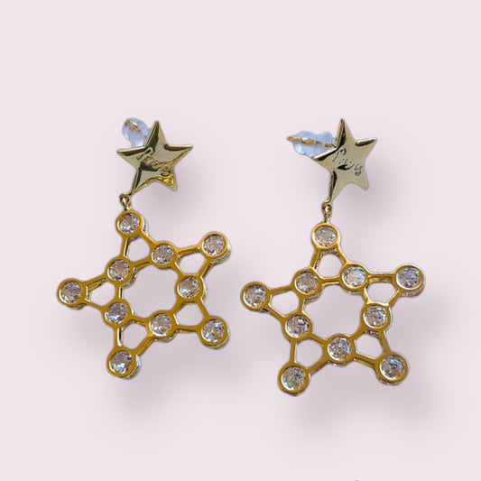 Star Constellation Earing